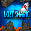 Lost Shark