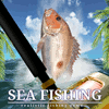 Pêche en mer